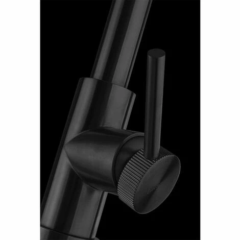 Acheter ✔️ Robinet Douchette Luisina Inox Noir CRBMD386 - Noir 😀 – Image 3