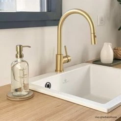 Coupon 🔥 Robinet Douchette Luisina LUCAS Laiton Doré - Doré 💯